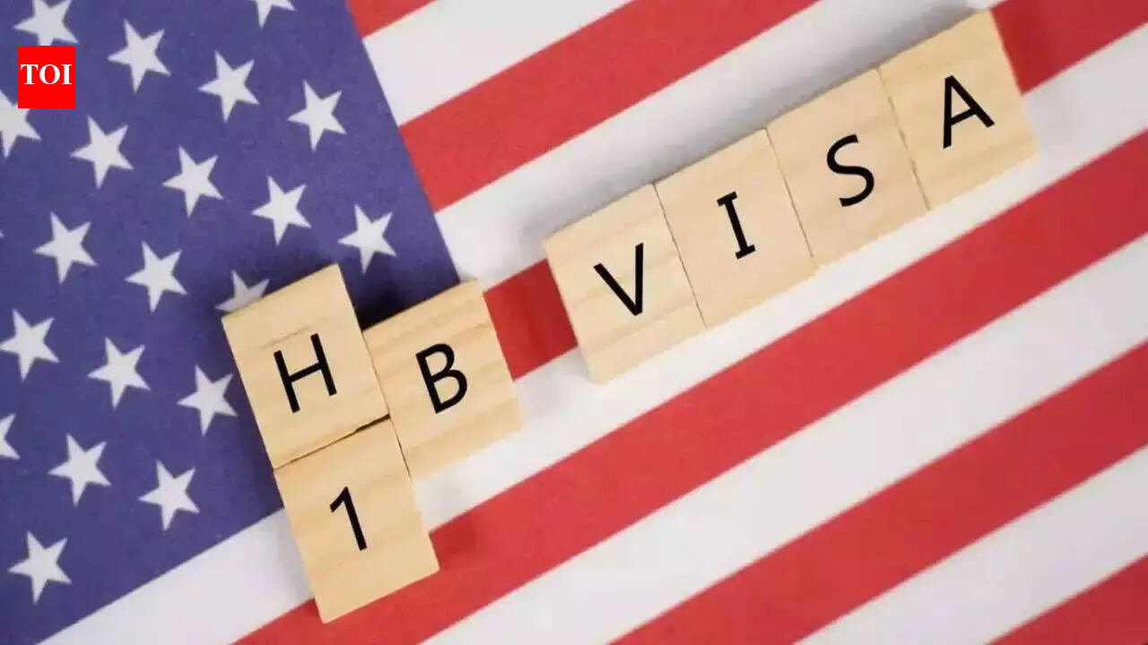 Travel alert for visa holders in US: Immigration experts say domestic flying has become risky, alarming rise in number of airport arrests
