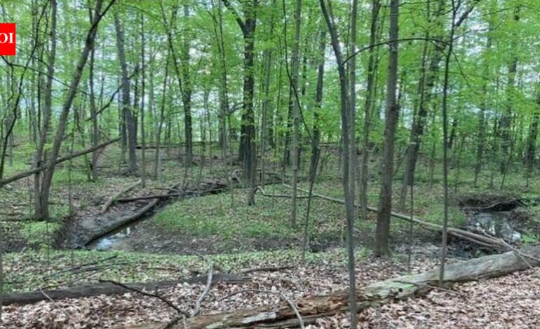 A Michigan woman owns 19 acres between two planned Toll Brothers communities; she is suing over her only access route and a proposed wastewater discharge