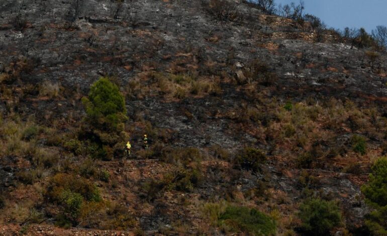 Death toll in Southern Spain wildfire climbs to 12