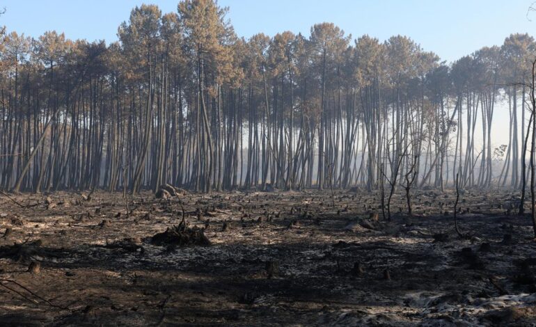 Firefighters in France hold back vast wildfire as heat returns to test their grip