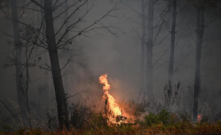 Wildfire leads to evacuations in some suburbs of French city of Bordeaux