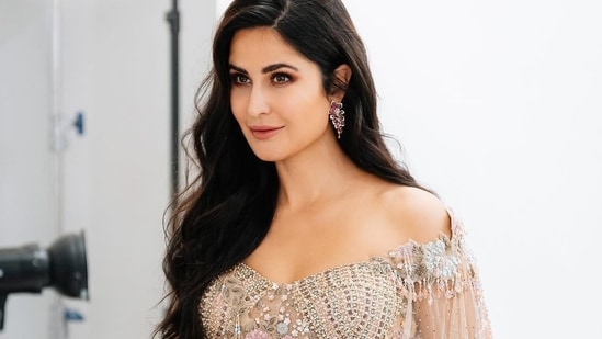 Is Katrina Kaif making a comeback after motherhood with Prabhas’ Spirit? Here’s the truth