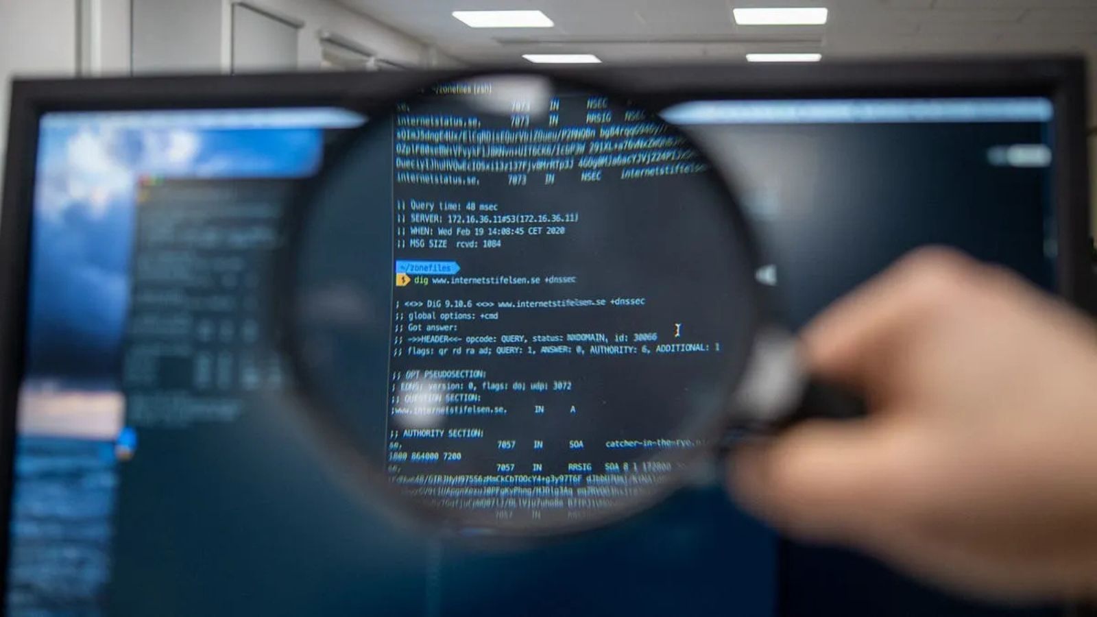 OpenAI’s GPT-5.6 Sol users report missing files, deleted databases: Here’s what we know | Technology News