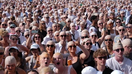 Everyone Gets Lost at the Pitbull Concert