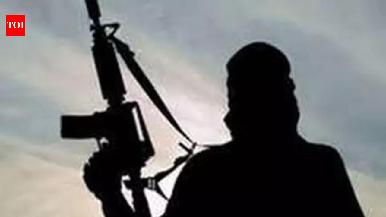 J&K: Properties of 11 Pak-based terrorist handlers attached in Ramban | India News