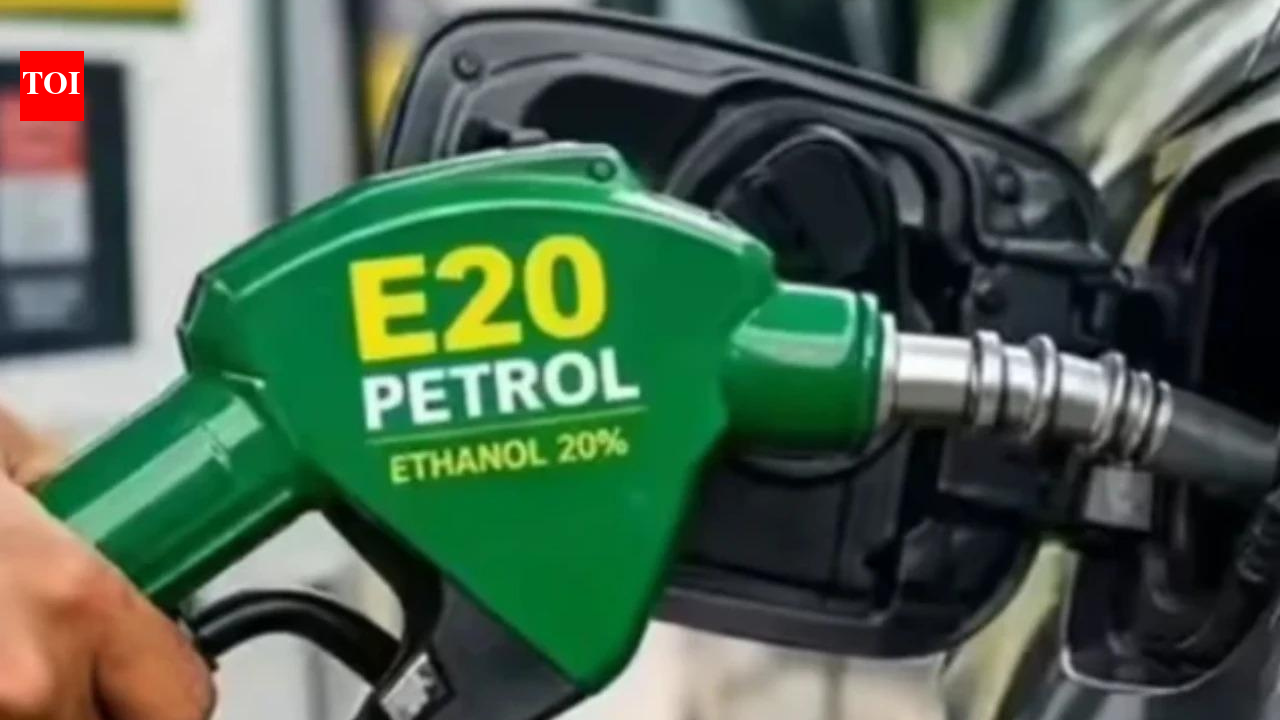 Reaction teams to flag ‘fake info’ on E20 blending | India News