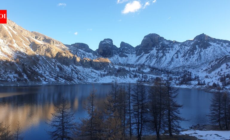 In 1924, Arctic charr from Lake Geneva were stocked into Lake Allos; a century later, their descendants showed distinct metabolic responses under identical conditions