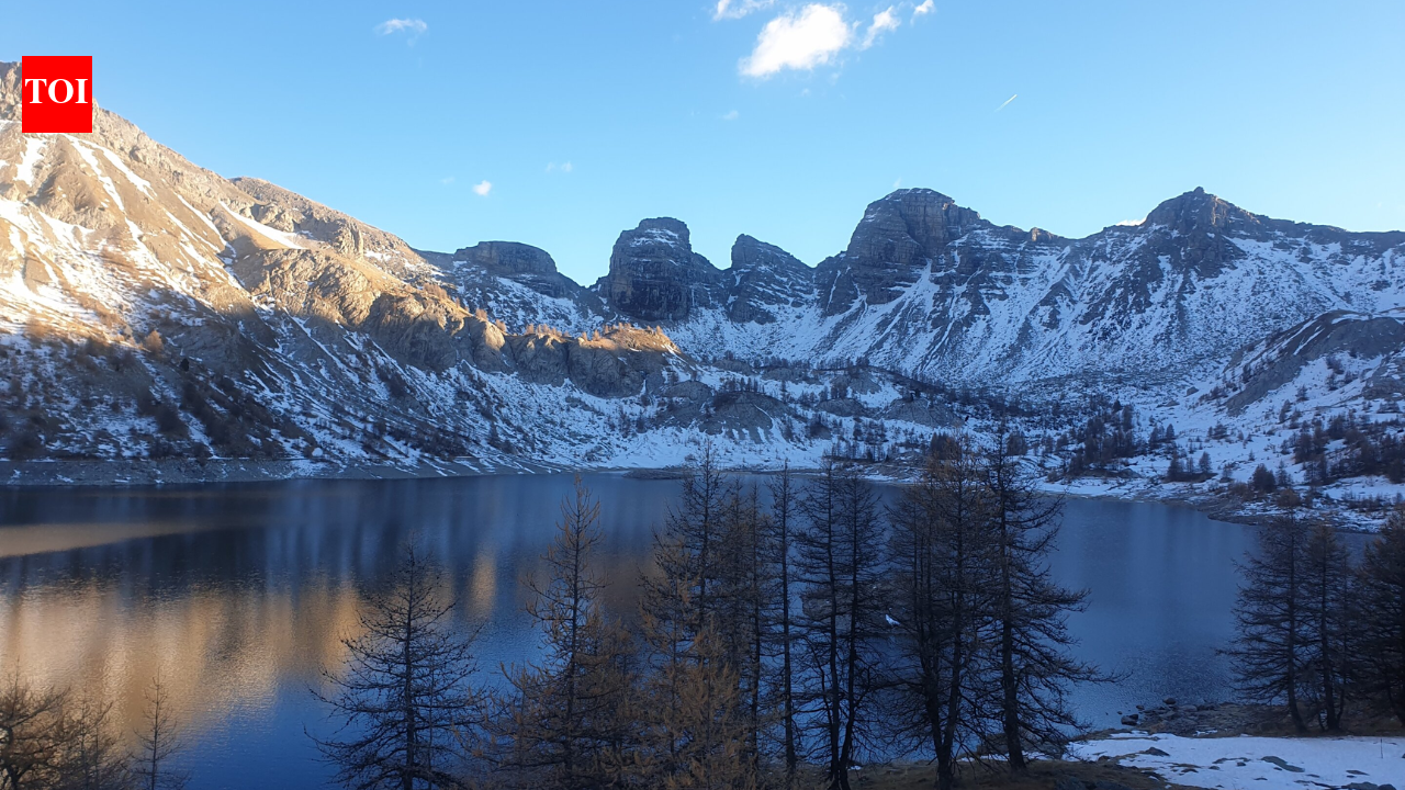 In 1924, Arctic charr from Lake Geneva were stocked into Lake Allos; a century later, their descendants showed distinct metabolic responses under identical conditions