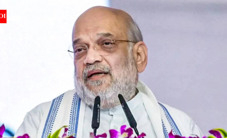 Ladakh Police file zero FIR against influencer over alleged anti-Amit Shah Facebook video | India News