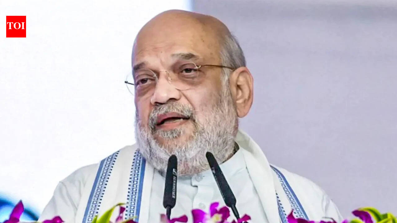 Ladakh Police file zero FIR against influencer over alleged anti-Amit Shah Facebook video | India News