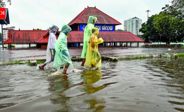 Monsoon hope as WMO sees an El Niño counter | India News
