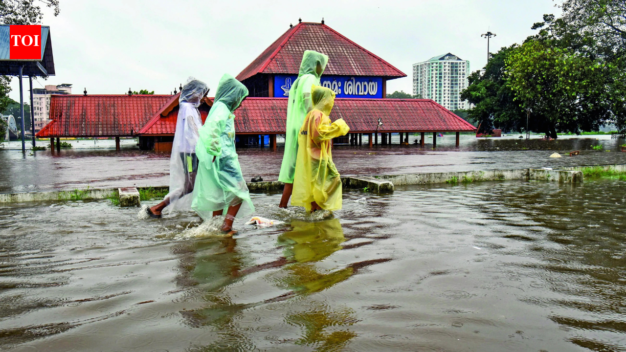 Monsoon hope as WMO sees an El Niño counter | India News