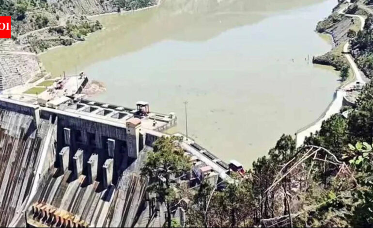 ‘Dismantle terror infrastructure first’: India’s US envoy hits out at Pakistan over Indus Waters Treaty | India News