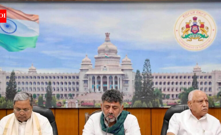 ‘Mekedatu project is permanent solution’: Karnataka CM DK Shivakumar on Cauvery water dispute with Tamil Nadu | India News