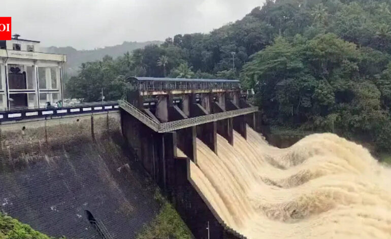 ‘Kerala stands united’: Rahul Gandhi offers support as rains claim 8 lives, leave 8 missing | India News