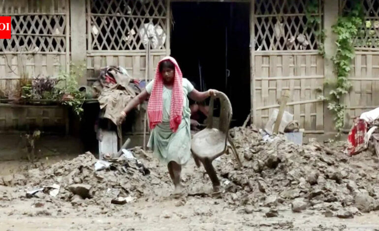 Assam floods: 82 dead, 1.78 lakh affected as relief efforts intensify – key points | India News