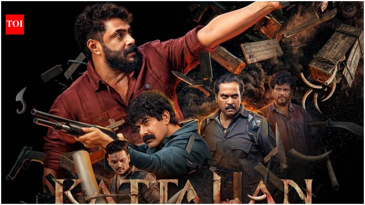 ‘Kattalan’ OTT release: Antony Varghese’s action thriller to stream on this OTT platform | Malayalam Movie News