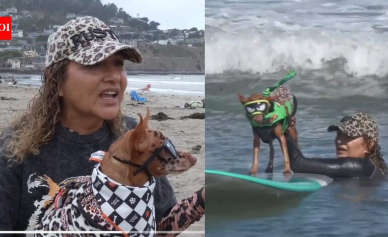 ​From cancer survivors to surfing stars: California woman and her dog beat cancer before competing together at the World Dog Surfing Championships | World News