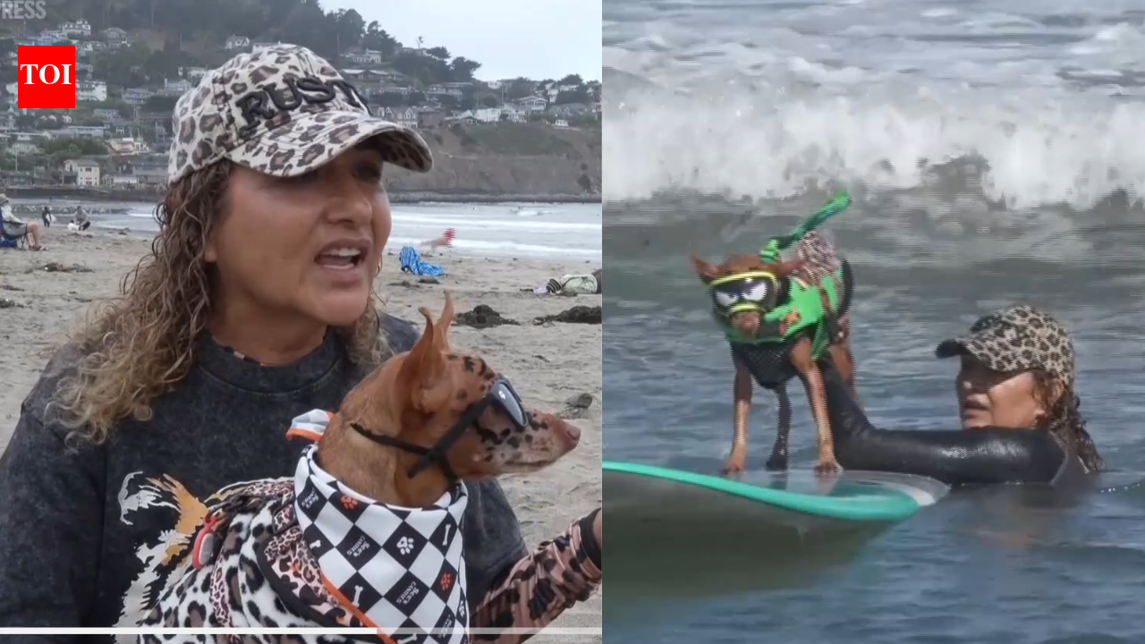 ​From cancer survivors to surfing stars: California woman and her dog beat cancer before competing together at the World Dog Surfing Championships | World News