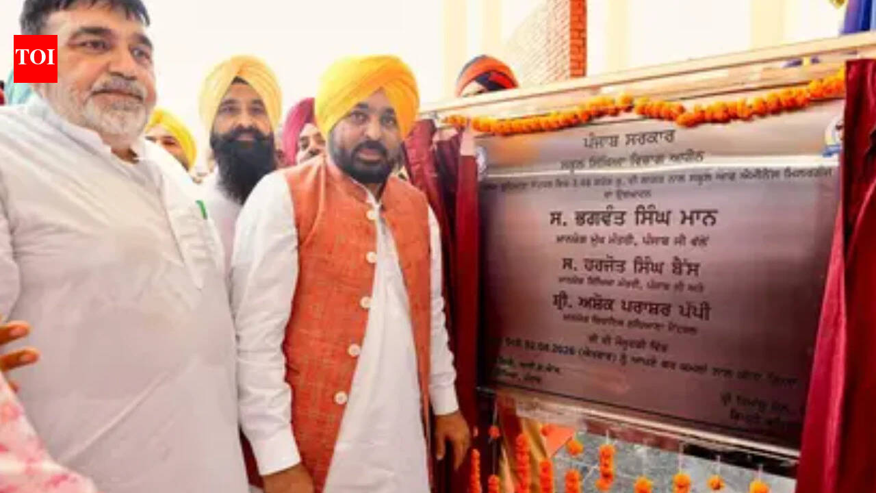 CM Mann inaugurates two ‘Schools of Eminence’ in Ludhiana | India News