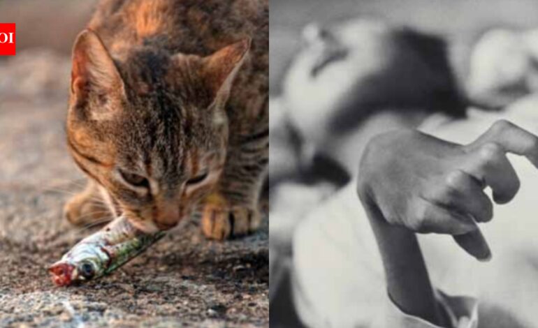 Cats went mad, birds fell from the sky, and a disease caused by poisoned seafood devastated an entire Japanese coastal community | World News