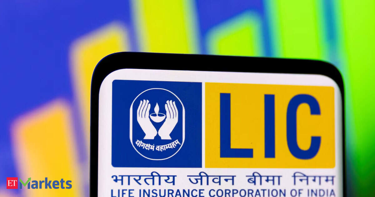 LIC OFS opens on August 4 as govt looks to sell up to 6.5% stake. Check details