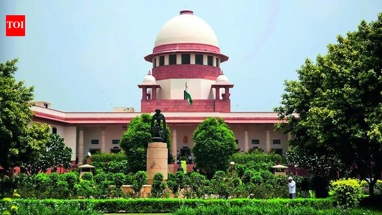 SC expands ambit of Sec 498A to cover cruelty in live-ins too | India News