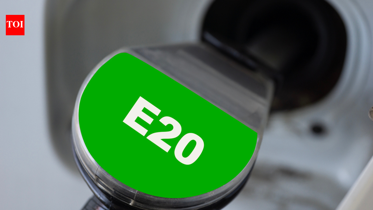 ARAI’s study on E20 fuel impact may be made public | India News