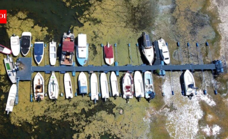 Danube: Europe’s Danube, Rhine and Loire are shrinking under heat and drought, disrupting shipping, power generation and tourism