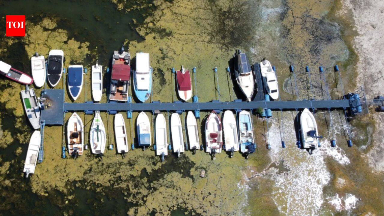 Danube: Europe’s Danube, Rhine and Loire are shrinking under heat and drought, disrupting shipping, power generation and tourism