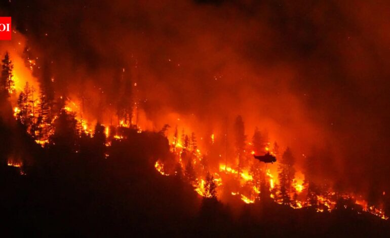 When wildfires make their own weather: As France sees its first fire cloud, should India be worried? | India News
