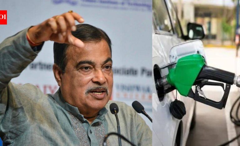 ‘Vile, abusive’: Bombay HC orders takedown of fake posts targeting Gadkari over E20 ethanol row | India News