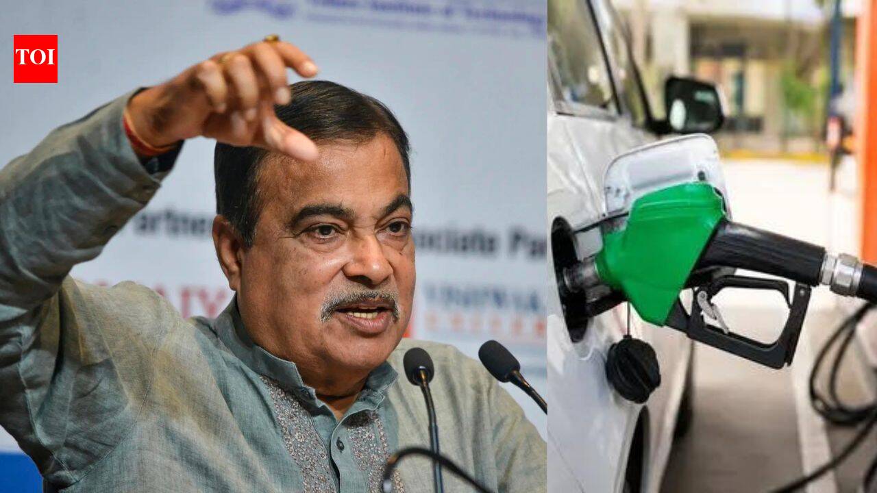 ‘Vile, abusive’: Bombay HC orders takedown of fake posts targeting Gadkari over E20 ethanol row | India News