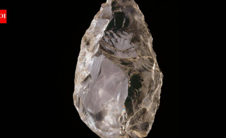 A 45,000-year-old crystal tool found in France suggests Neanderthals chose beauty as well as practicality | World News