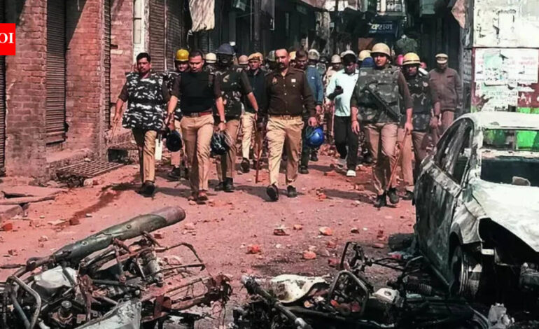 Sambhal violence 2024: Probe panel claims unrest ‘pre-planned’, links Samajwadi MP, MLA | India News