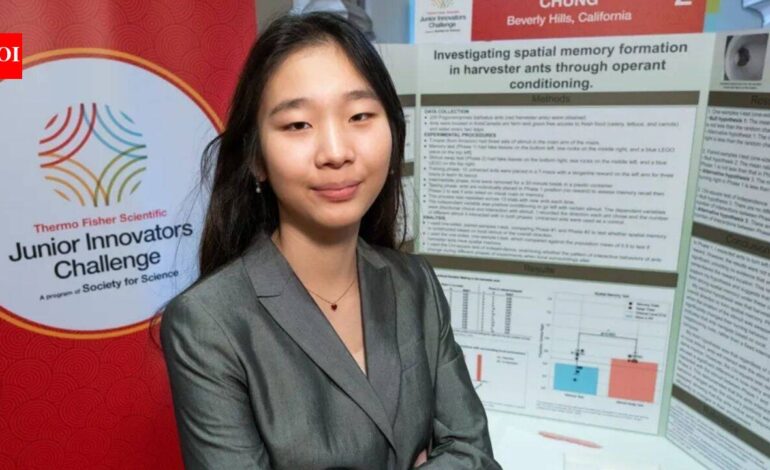 Meet Seungah Chung, the US eighth-grader who used 200 ants and a maze to discover they navigate by landmarks