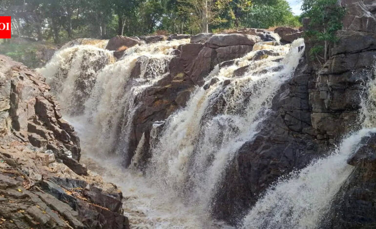 Tamil Nadu government vows to secure rightful share in inter-state river water | India News