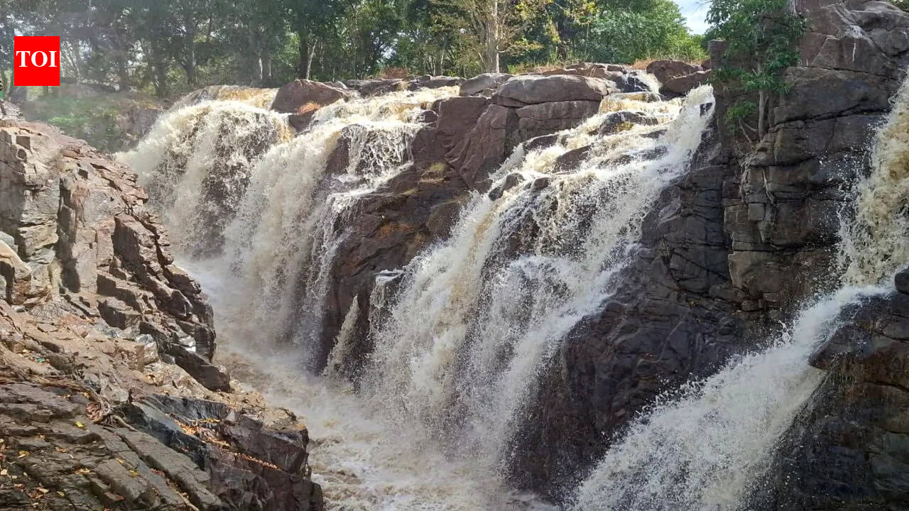 Tamil Nadu government vows to secure rightful share in inter-state river water | India News