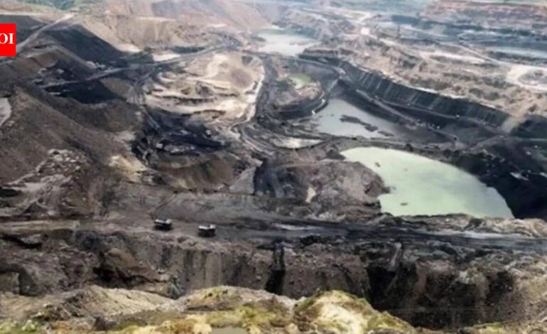 Real-time mineral monitoring system to curb illegal mining, says Tamil Nadu government | India News