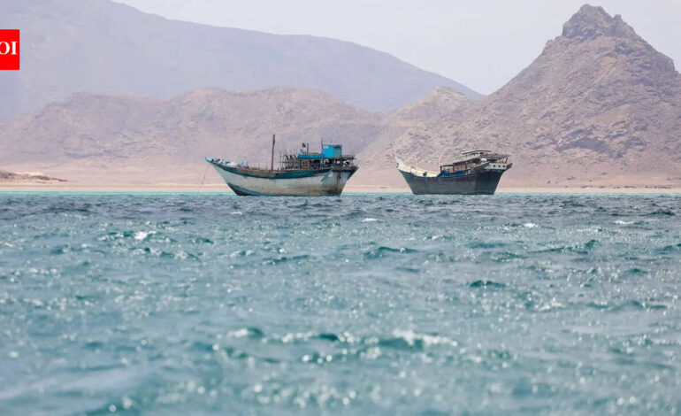 25 India-bound ships in Hormuz; government set to evacuate 13 soon | India News