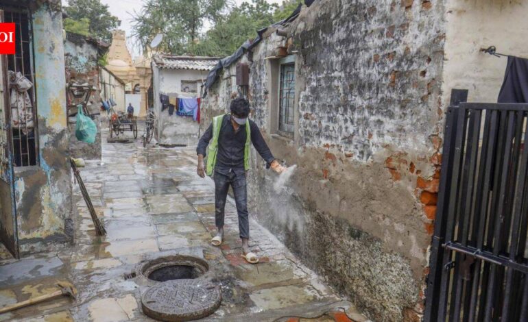 Centre deploys national team as Chandipura outbreak probe intensifies | India News