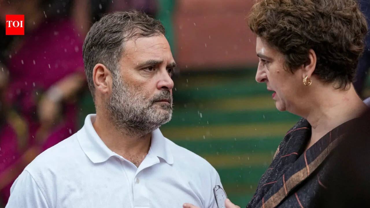 Need to seal alliance deal with SP soon for UP polls, MPs tell Congress leadership | India News