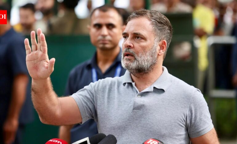 Rahul Gandhi flags Ken-Betwa tribal displacement; Centre forwards complaints to MP govt | India News