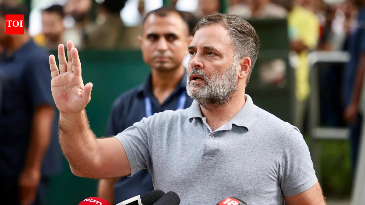 Rahul Gandhi flags Ken-Betwa tribal displacement; Centre forwards complaints to MP govt | India News