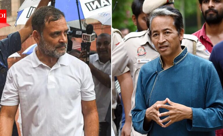 Rahul ignored plan to end my fast, says Sonam Wangchuk | India News