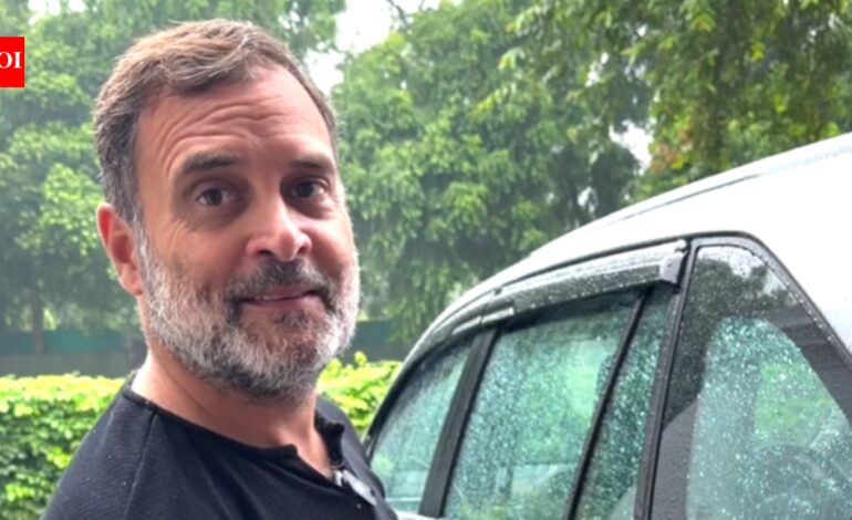 ‘Govt stealing money, destroying lives’: Rahul Gandhi vows campaign against E20 | India News
