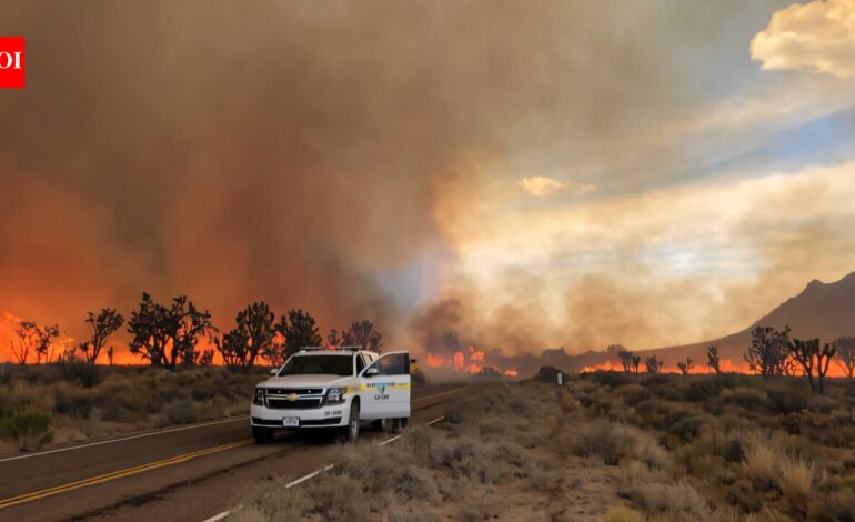 California lost as many as 1.3 million Joshua trees in the 2020 Dome Fire; new software now helps park managers target recovery after wildfires