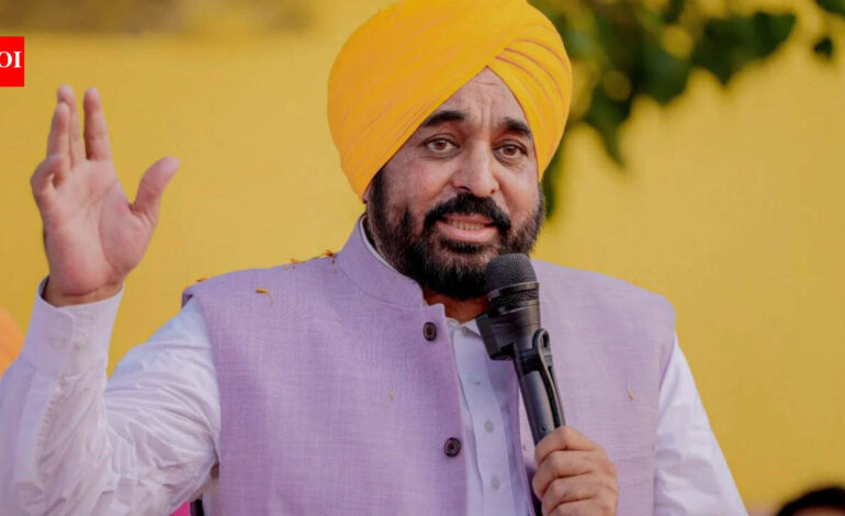 ‘Gangstran Te Vaar’: Punjab Police acts against over 58,000 criminals in 200-day crackdown | India News