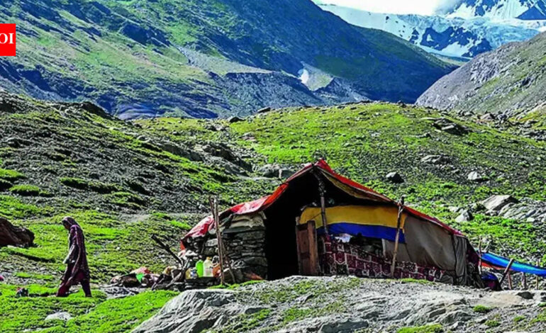 Kashmir route outpaces Manali as Ladakh tourism surges | India News