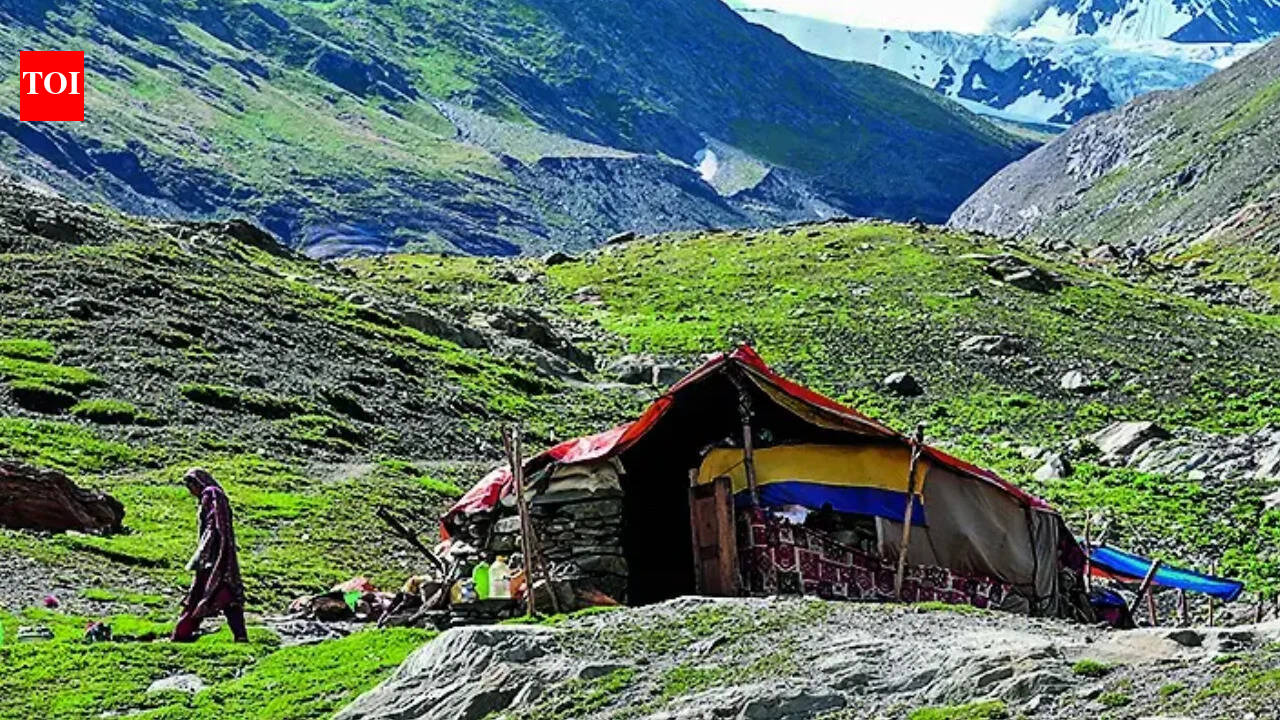 Kashmir route outpaces Manali as Ladakh tourism surges | India News
